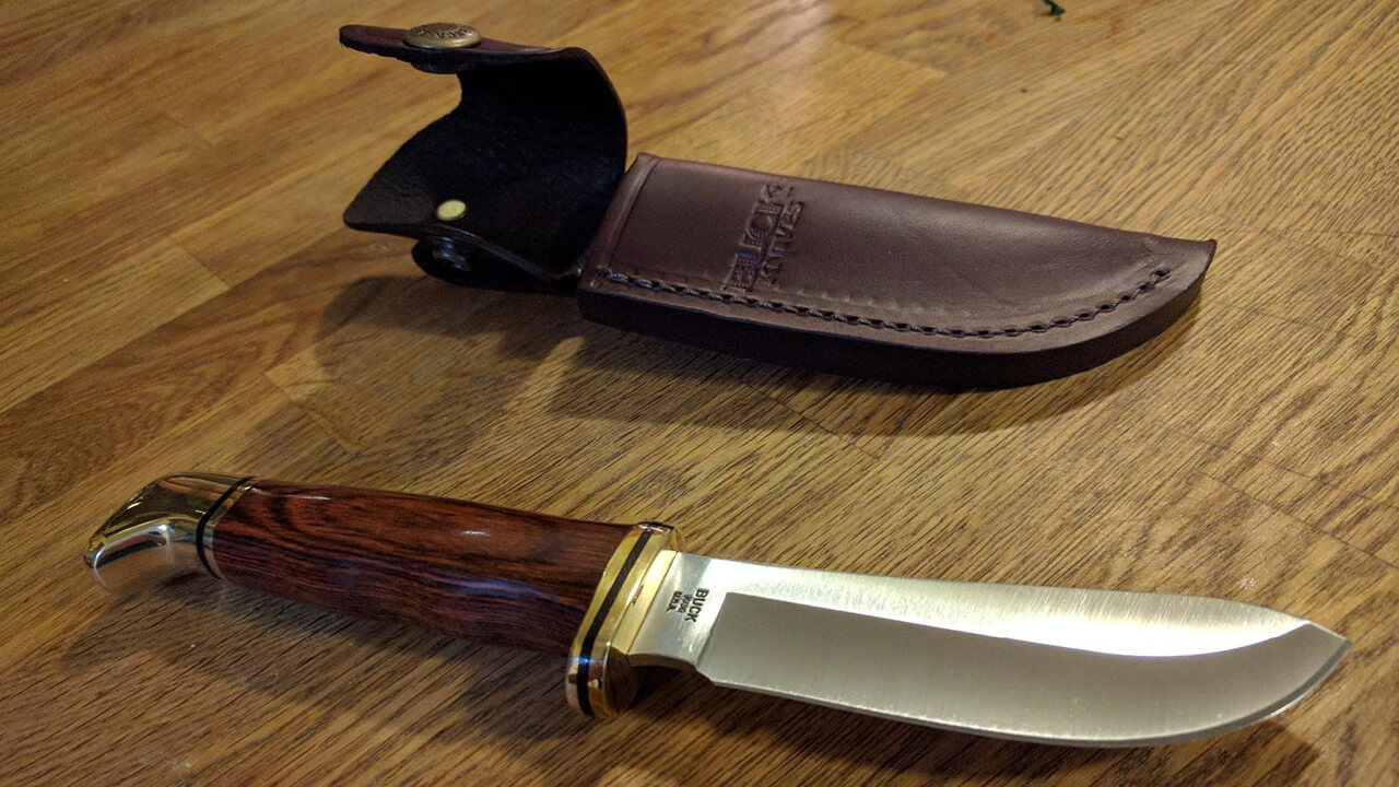 Buck Skinner Knife
