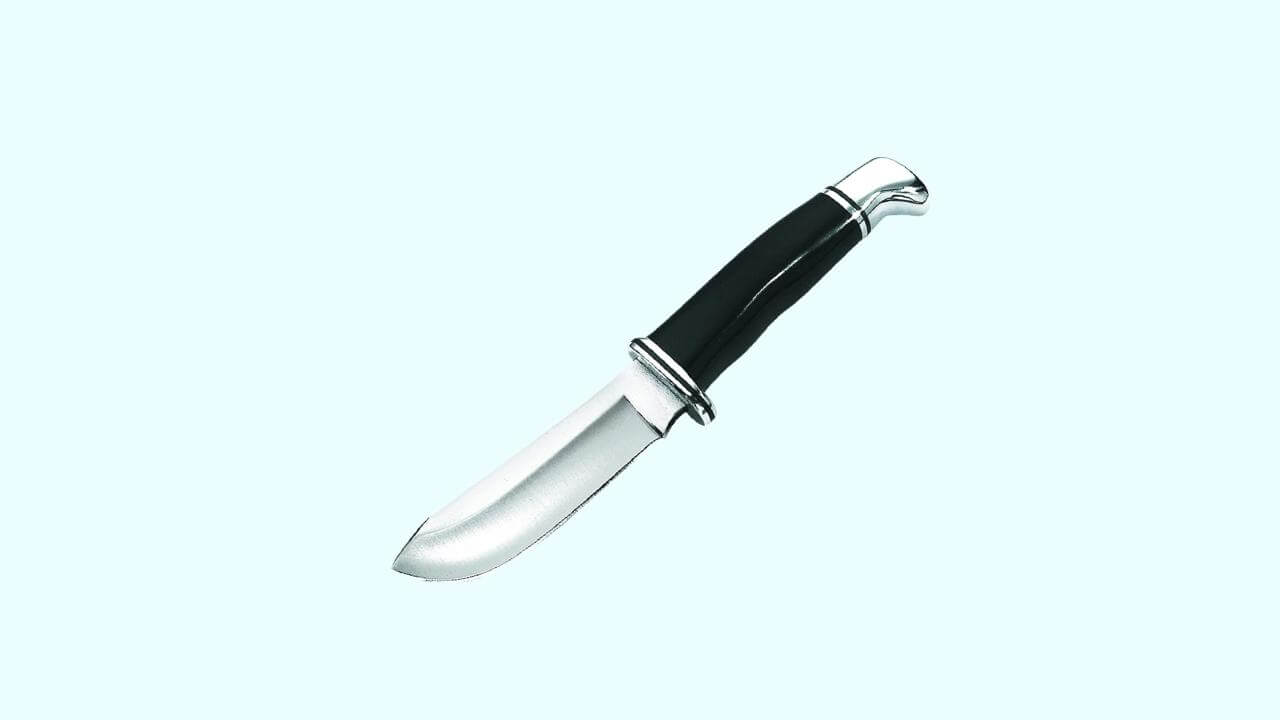 Buck Skinner Fixed Blade Knife