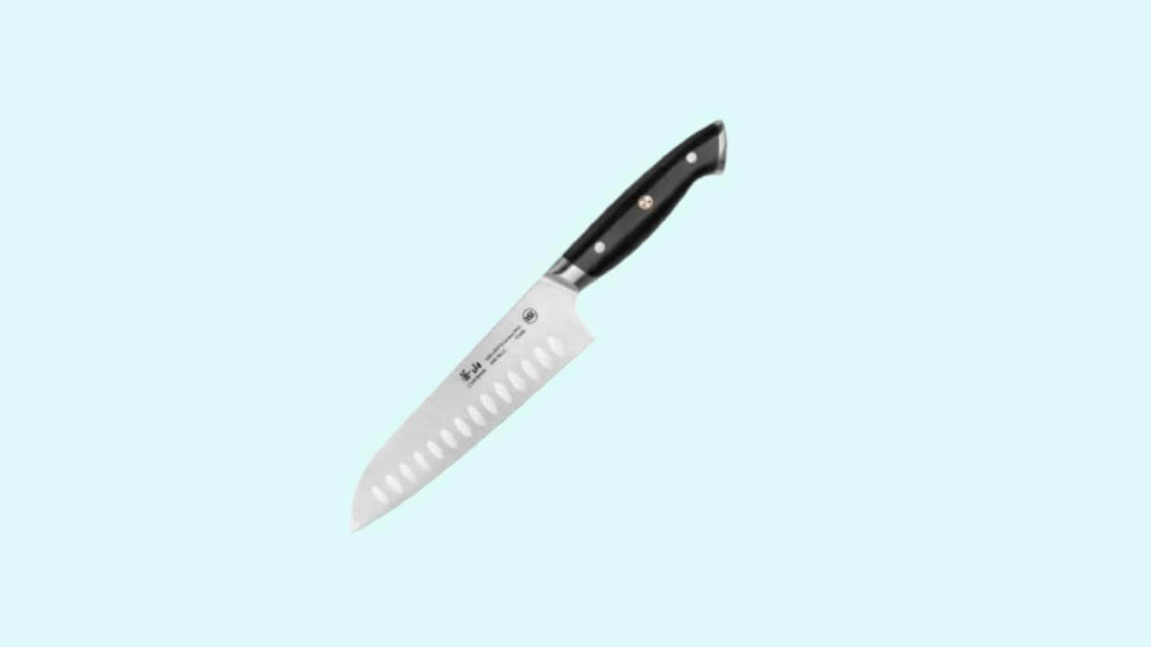 DALSTRONG Santoku Knife