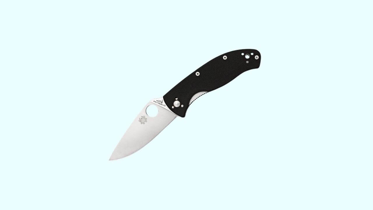 Spyderco Tenacious Folding Utility Pocket Knife