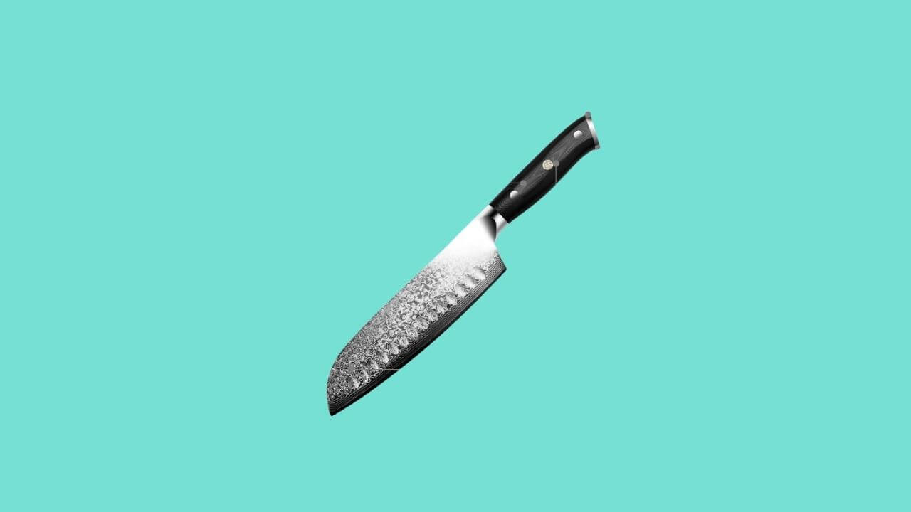 LEVINCHY Damascus Santoku Knife