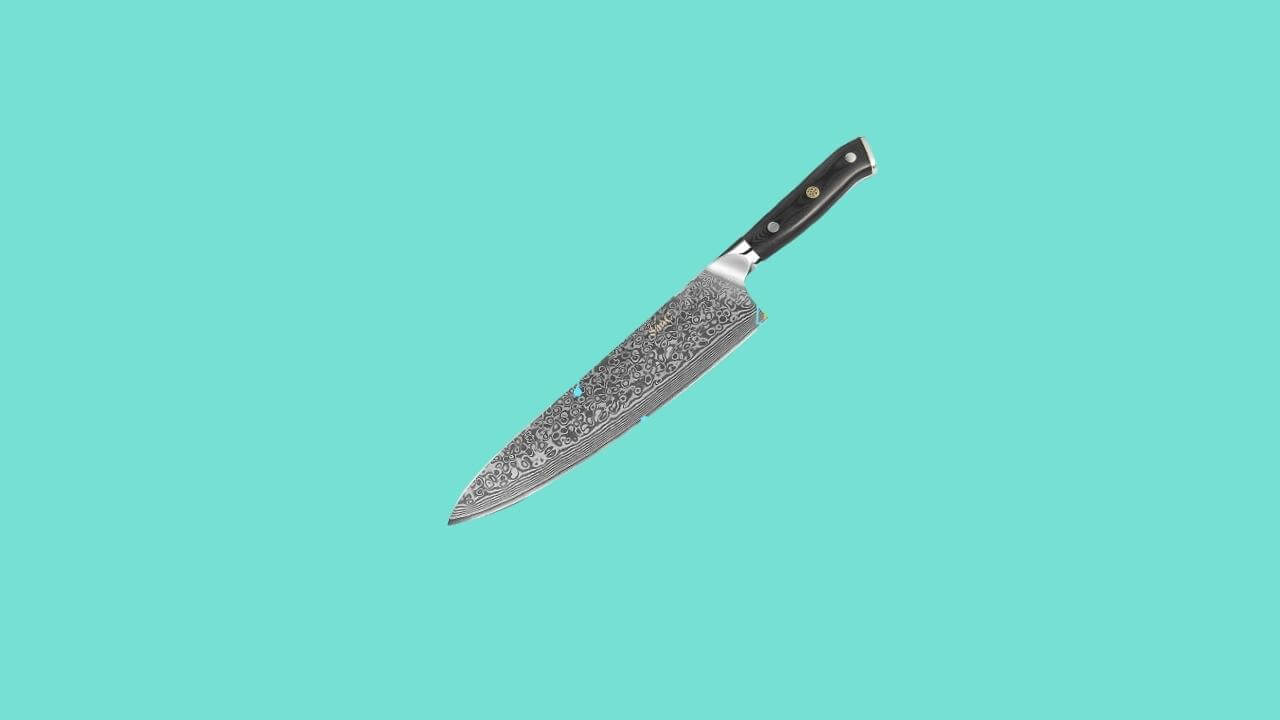 SanCook Professional Damascus Knife