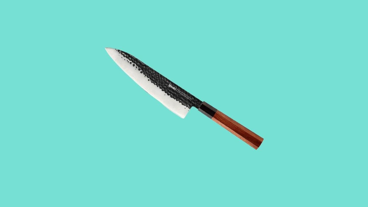 Gyuto Chef’s Knife