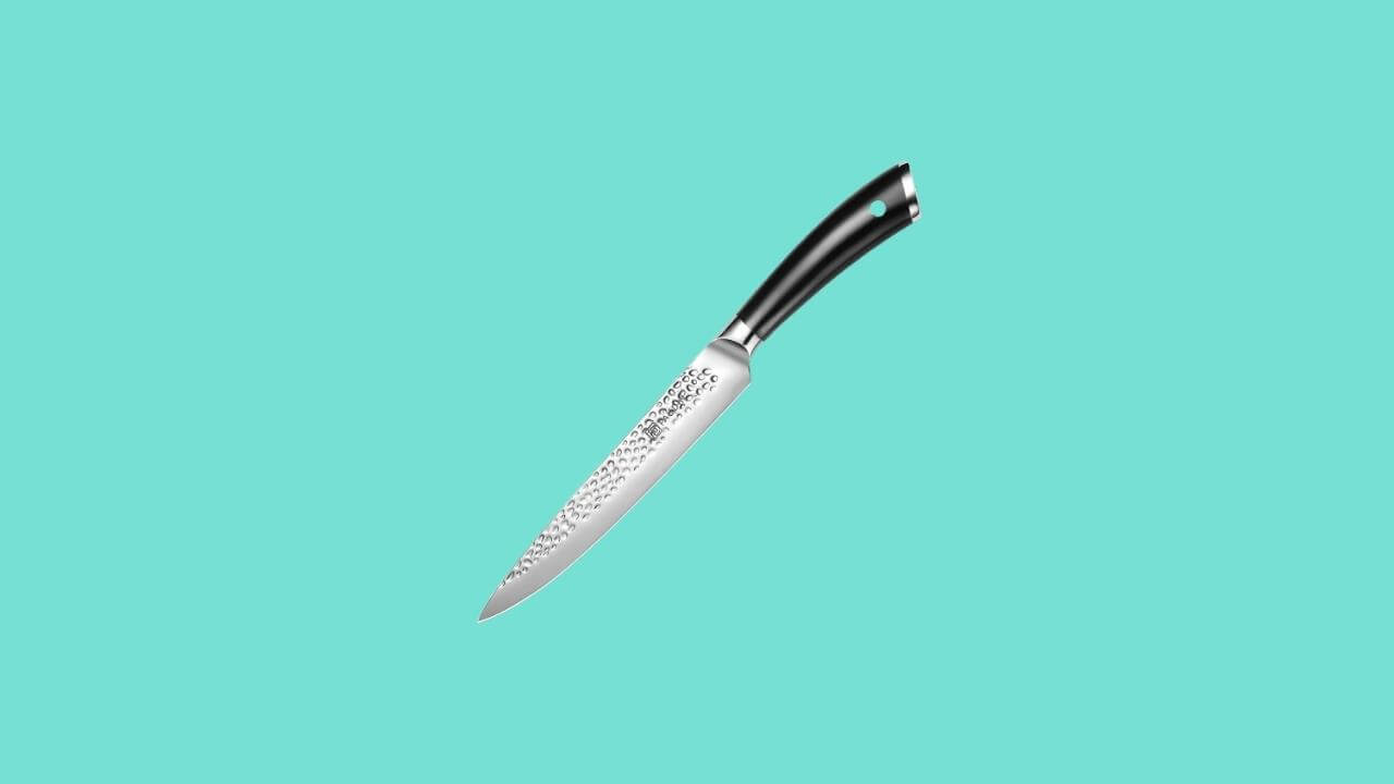 PAUDIN Carving Knife